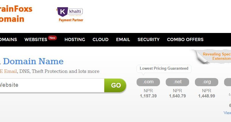BrainFoxs Domains Starts Domain Registration & Web Hosting Services in Nepal