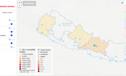 Government Launches Web Portal and Mobile App in Aid Against COVID-19