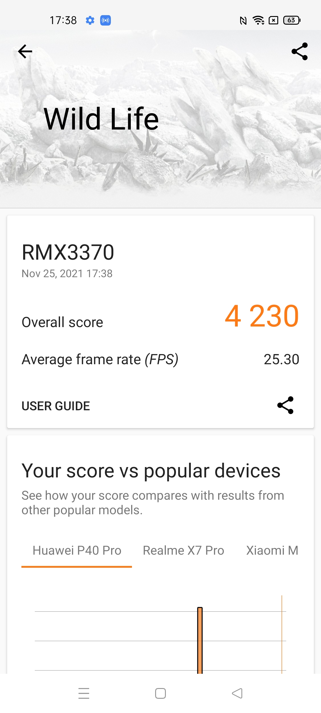 3DMark (Wild Life) score